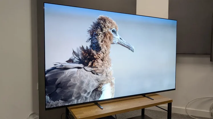 Sony Bravia 8