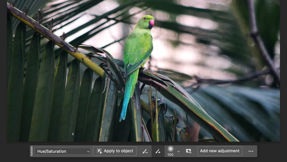 Adobe Photoshop CC 2024