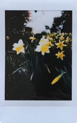 Fujifilm Instax Mini 12-2